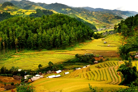Fiditour ưu đãi đặc biệt cho chùm tour du lịch nội địa